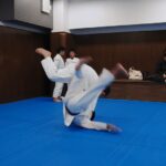 MOV_0544_exported_8633.jpg