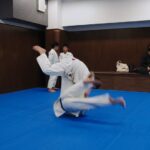 MOV_0544_exported_8700.jpg