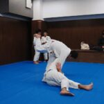 MOV_0544_exported_9266.jpg